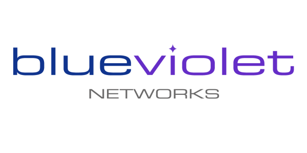 BlueViolet Networks, Company logo